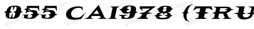 055 CAI978 常规(TrueType)字体转换